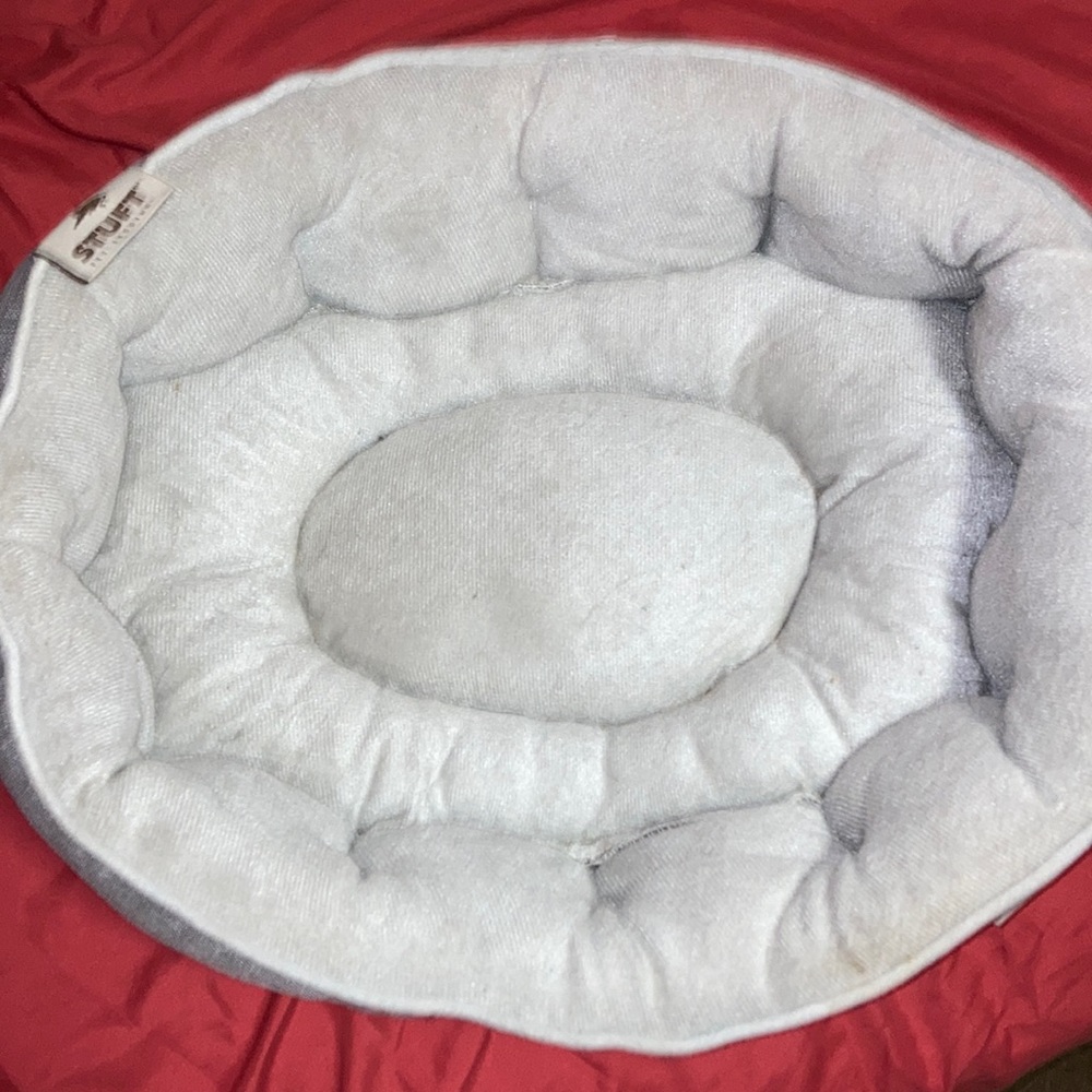 Cat or little dog bed